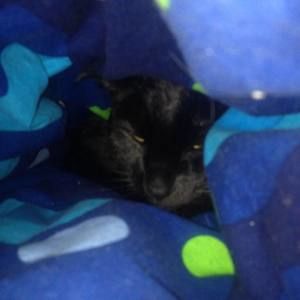 Meet your Posher, Theresa